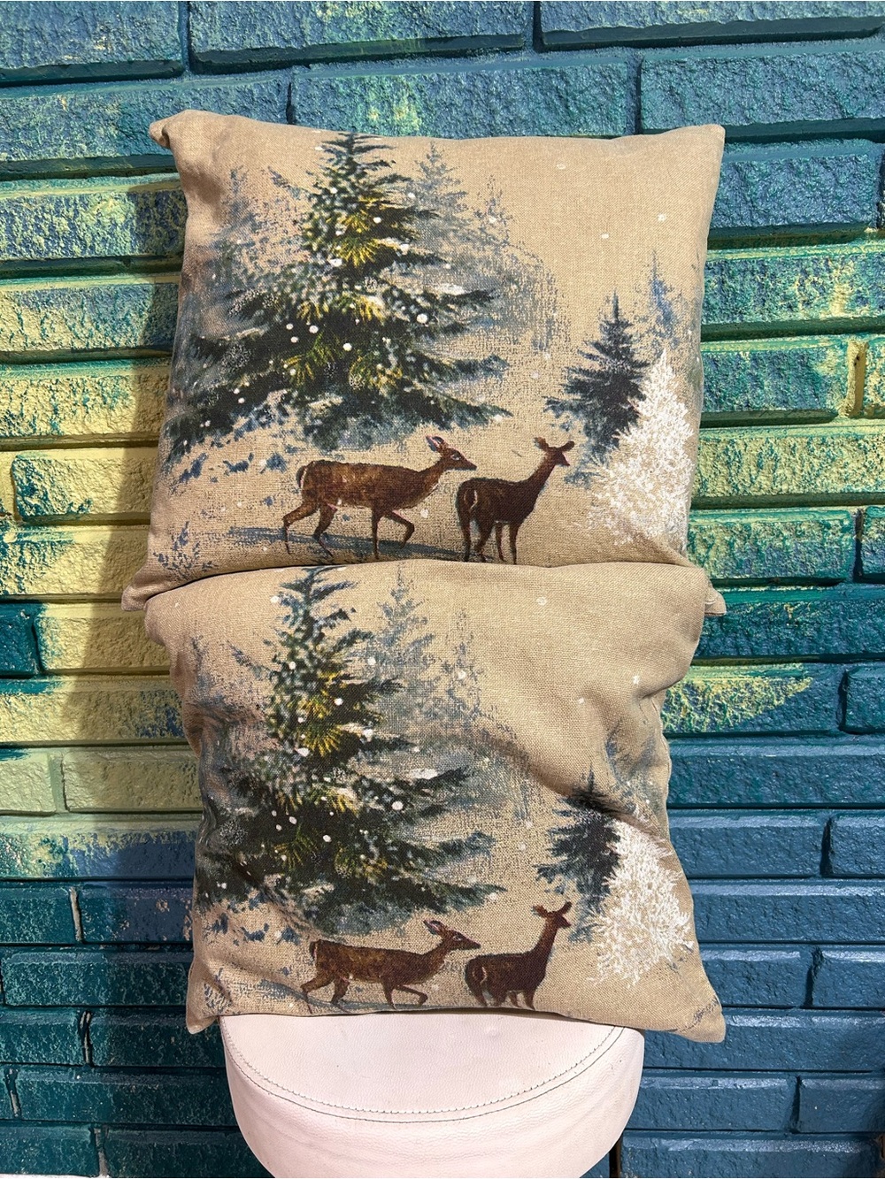 Set a pottery barn, down filled  pillows, Christmas